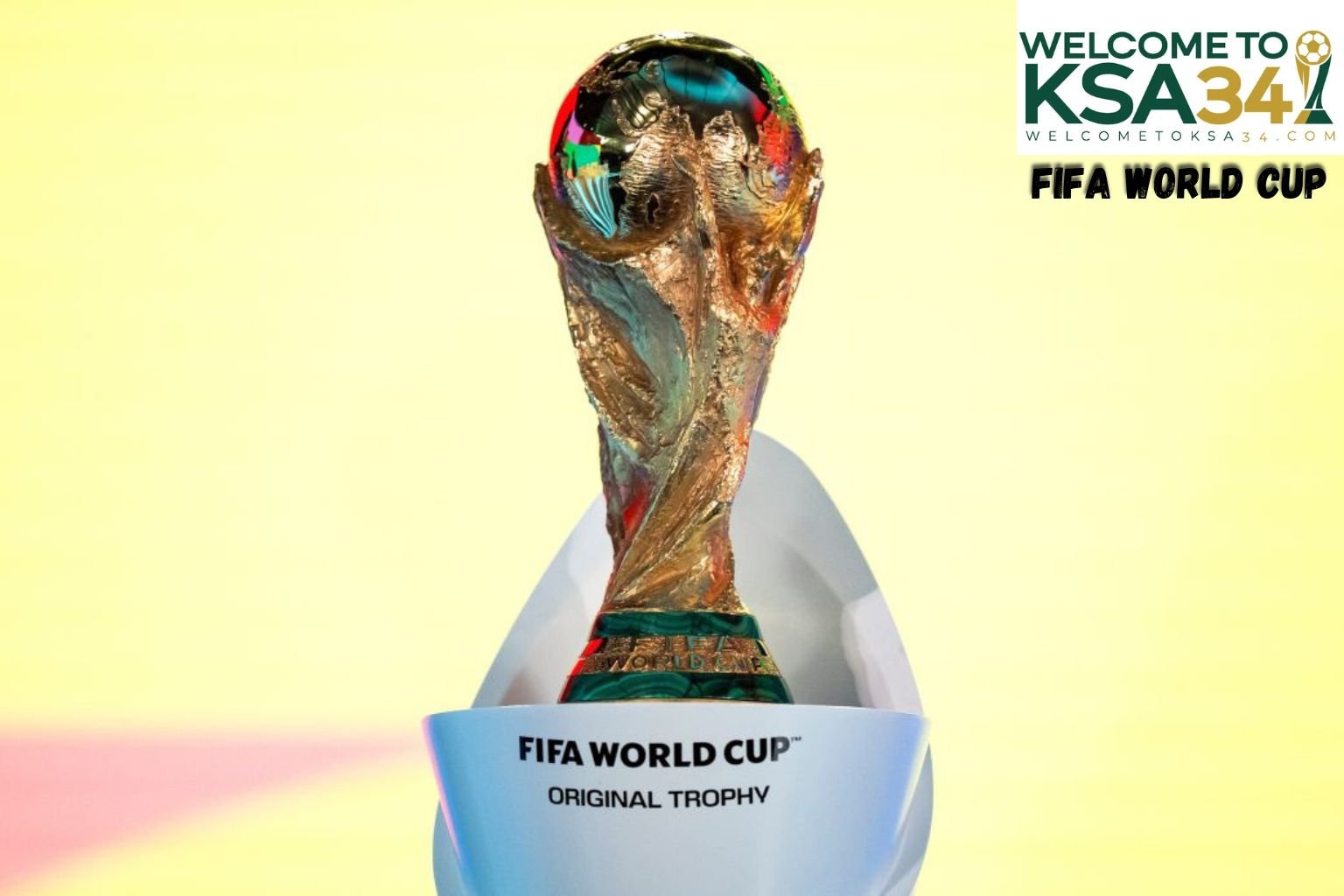 Amazing Facts About the FIFA World Cup